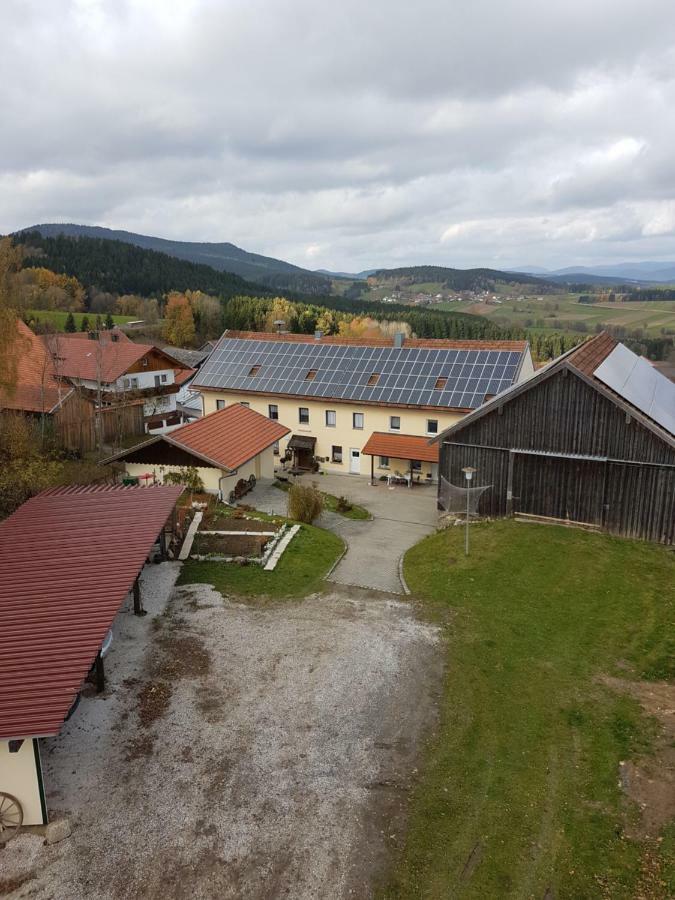 Gut Steinhuegel Apartman Bischofsmais Kültér fotó